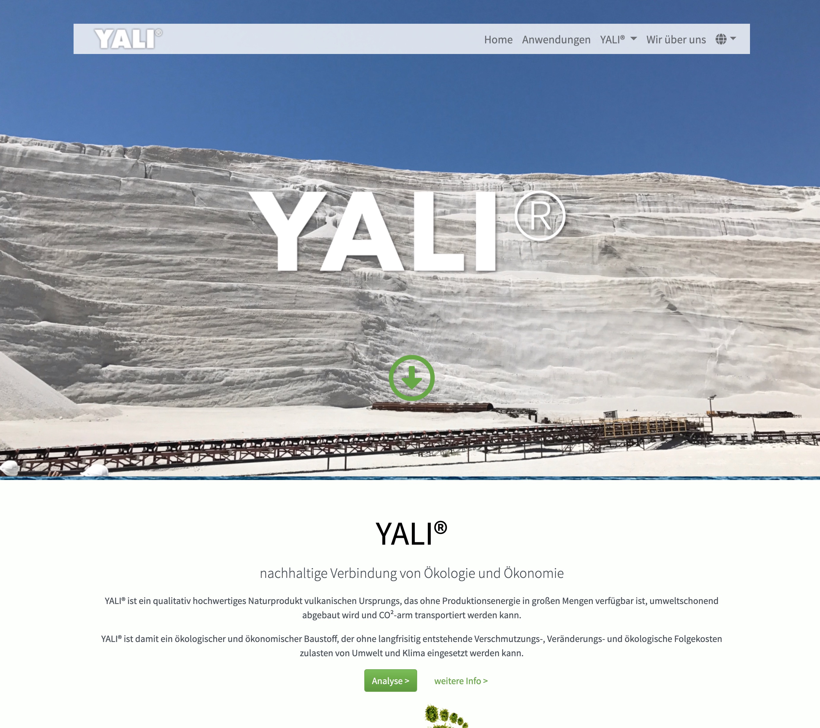yalibims_2020_1
